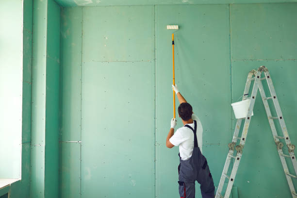 Environmental Consulting for Mold Prevention in Marshfield, WI